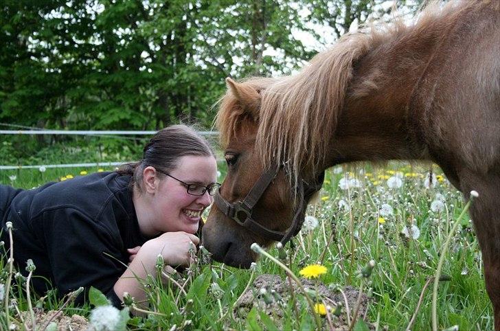 Anden særlig race Putte "delepony" - Putte og Marianne hygger billede 12