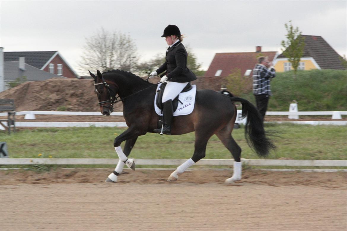 Oldenborg Quikstep af Østerholm  billede 18