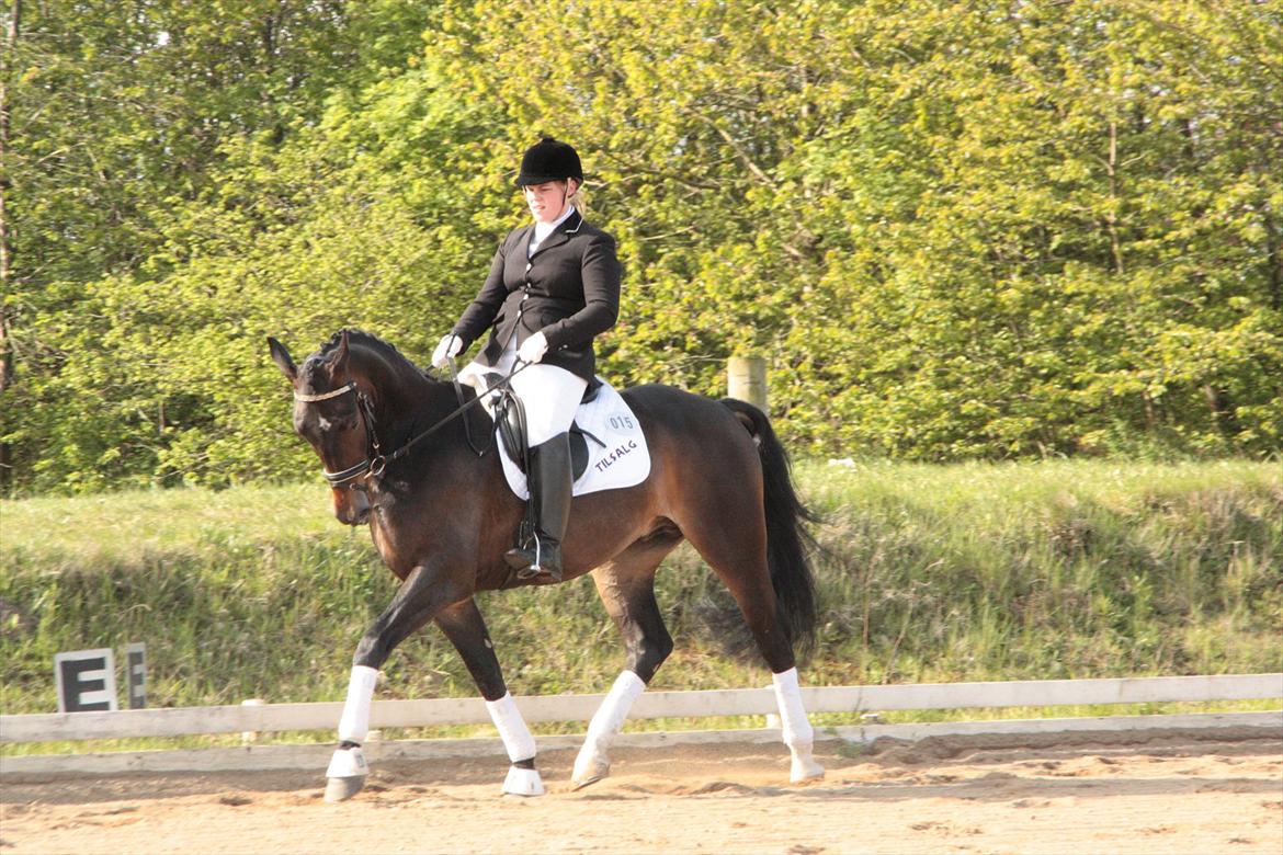 Oldenborg Quikstep af Østerholm  billede 19