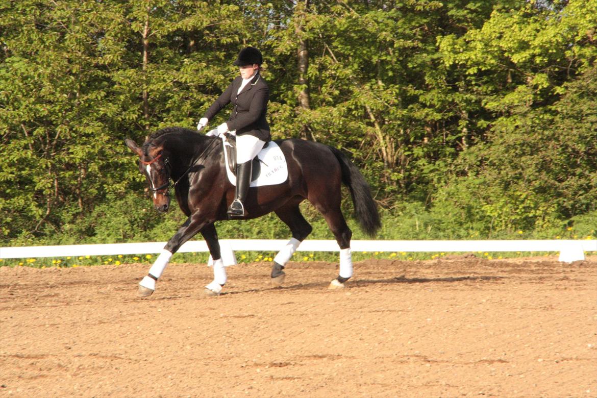 Oldenborg Qiun af Østerholm - solgt  billede 12