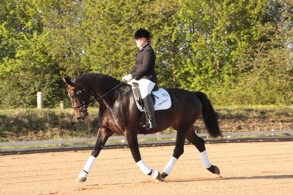 Oldenborg Qiun af Østerholm - solgt  billede 14