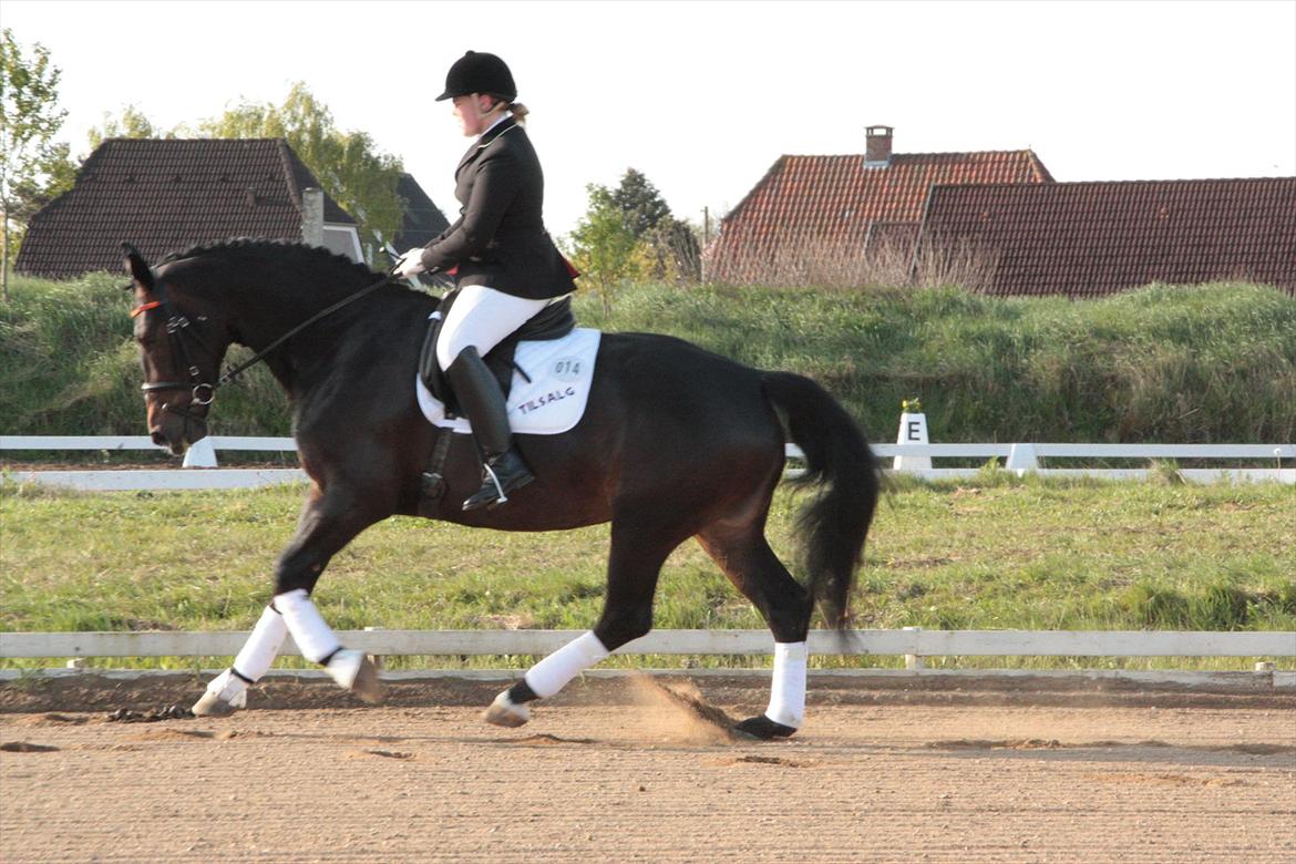 Oldenborg Qiun af Østerholm - solgt  billede 16