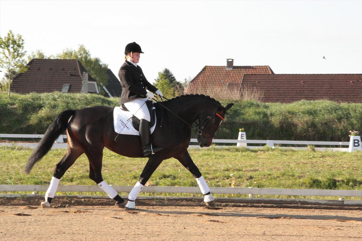 Oldenborg Qiun af Østerholm - solgt  billede 17