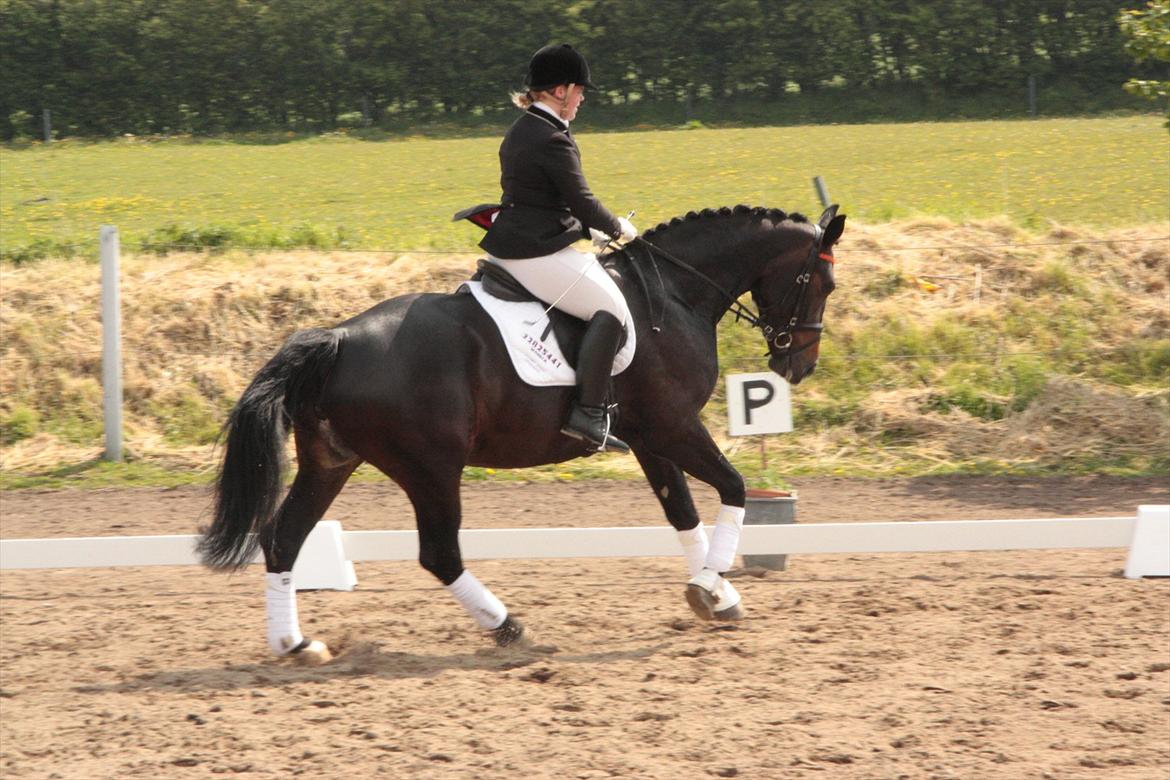 Oldenborg Qiun af Østerholm - solgt  billede 20