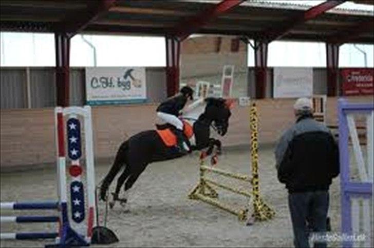 Anden særlig race Spirit ( verden største stjernepony) - Egum 6 plads billede 6