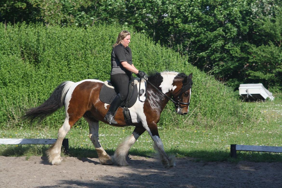 Tinker Juncker ( Låne Hest<) - Vi kan altså godt.. ! dressur undervisning d. 23/5.12 billede 15