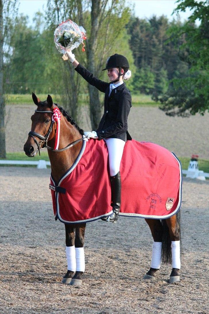 Hollandsk Sportspony Fredslunds Lenkon *A-pony* - Vinder af DISM individuelt 2012 :D billede 1