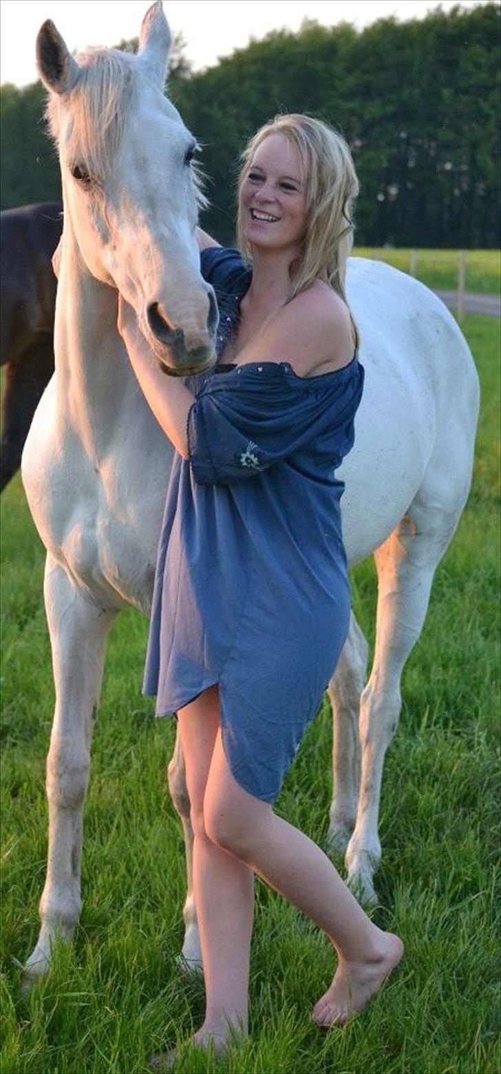 Hollandsk Sportspony Fyrstenborgs Meritza billede 20