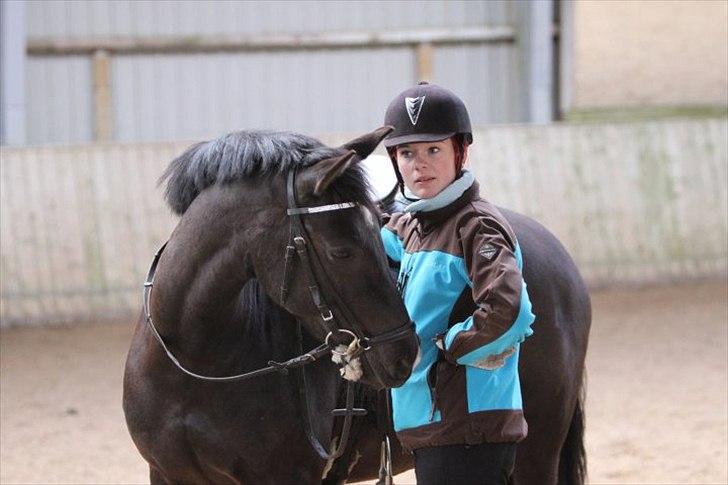 DSP Tovdal´s Machon (Corly) (solgt) billede 5