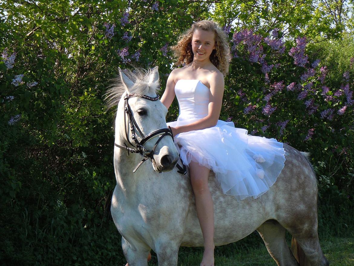 Anden særlig race Højagers Chablis - mig og verdens smukkeste pony <3<3<3 Konfirmation 2012 billede 20
