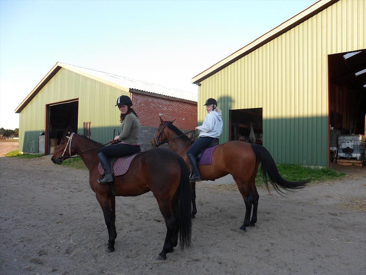 Traver Princess Guy - sammen med Anne og Athene billede 14