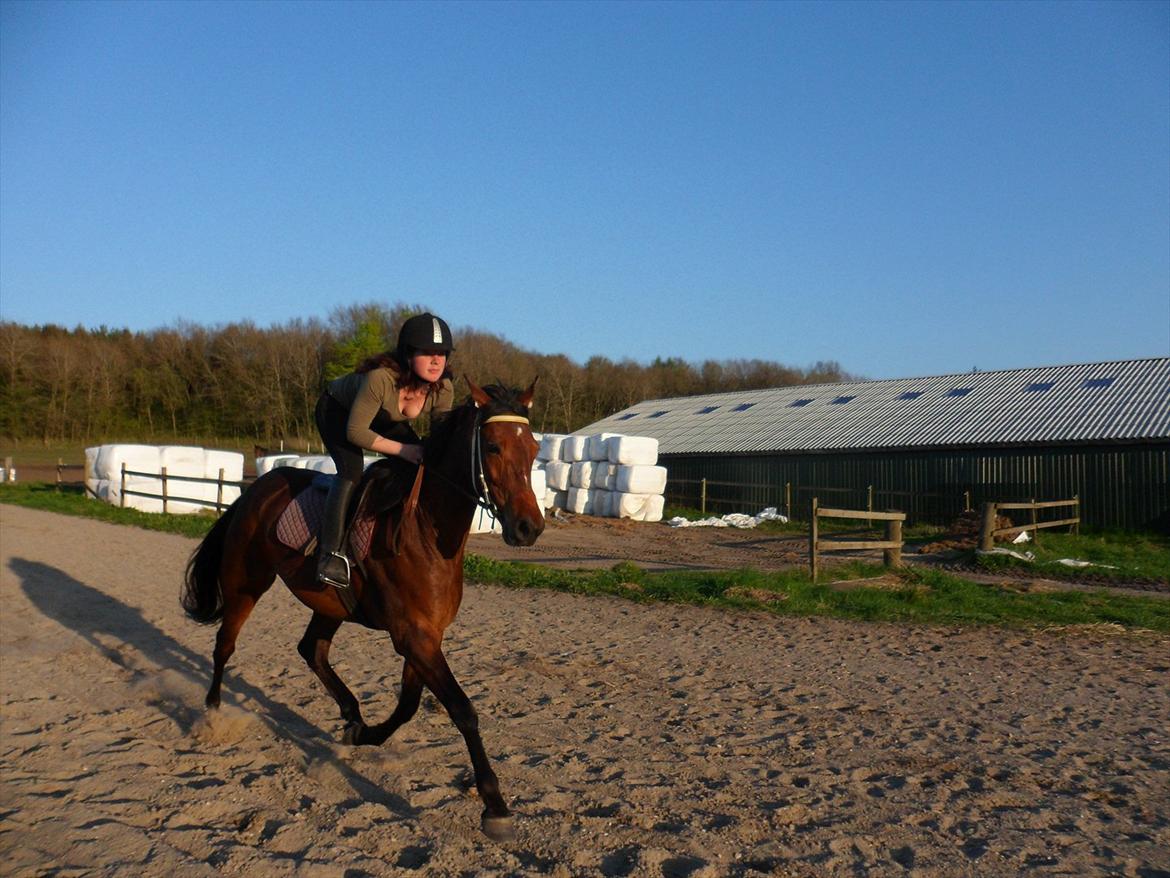 Traver Princess Guy - maj 2012 billede 15