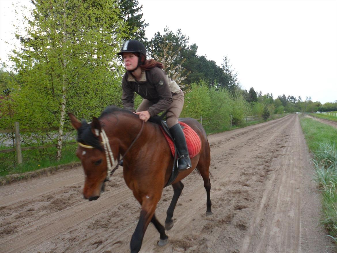 Traver Princess Guy - skattemin<3 billede 19