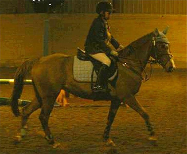 Anden særlig race Sweet Cherry [B-Pony] Aflivet - Gammelt :b billede 12