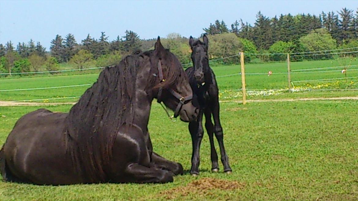 Anden særlig race Enya A Bacoon#SOLGT# - Velkommen til profilen. billede 2