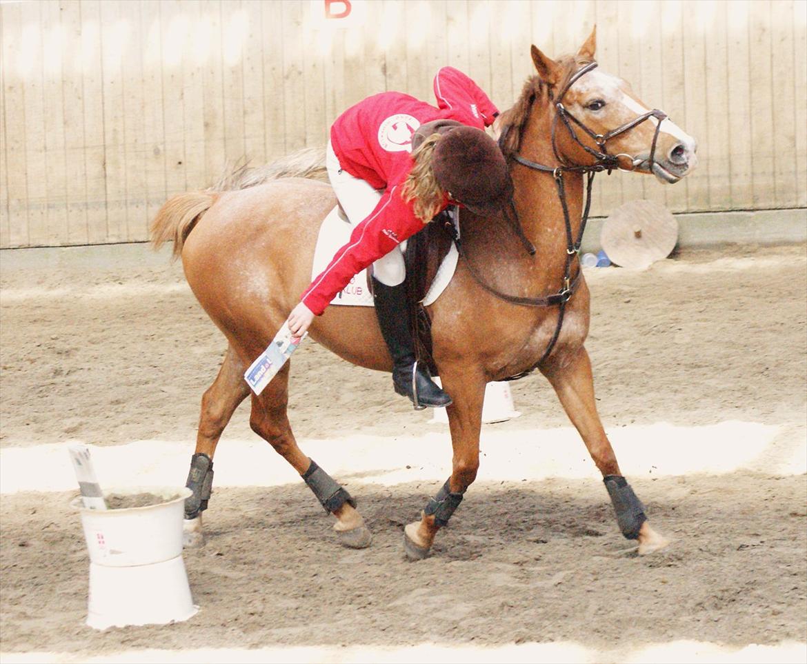 Anden særlig race Sweet Cherry [B-Pony] Aflivet - PONYGAMES 1.plads x2 billede 5