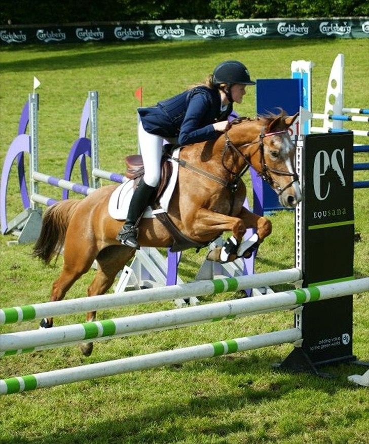 Anden særlig race Sweet Cherry [B-Pony] Aflivet - Aabenraa sydjysk...:) billede 10