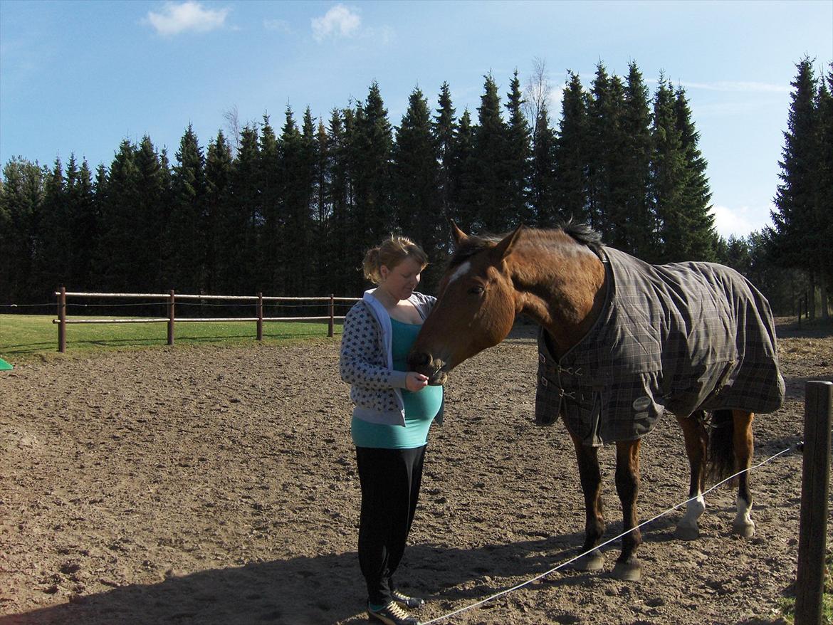 Dansk Varmblod Salter tranebo - Salter og jeg ;-)
Marts 2012 billede 8