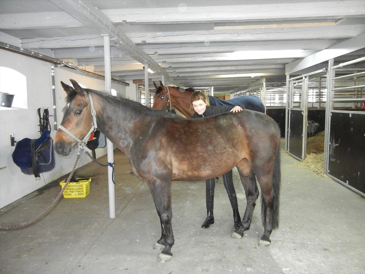 Anden særlig race Cirkeline - Beauty'n'the beast;) billede 2