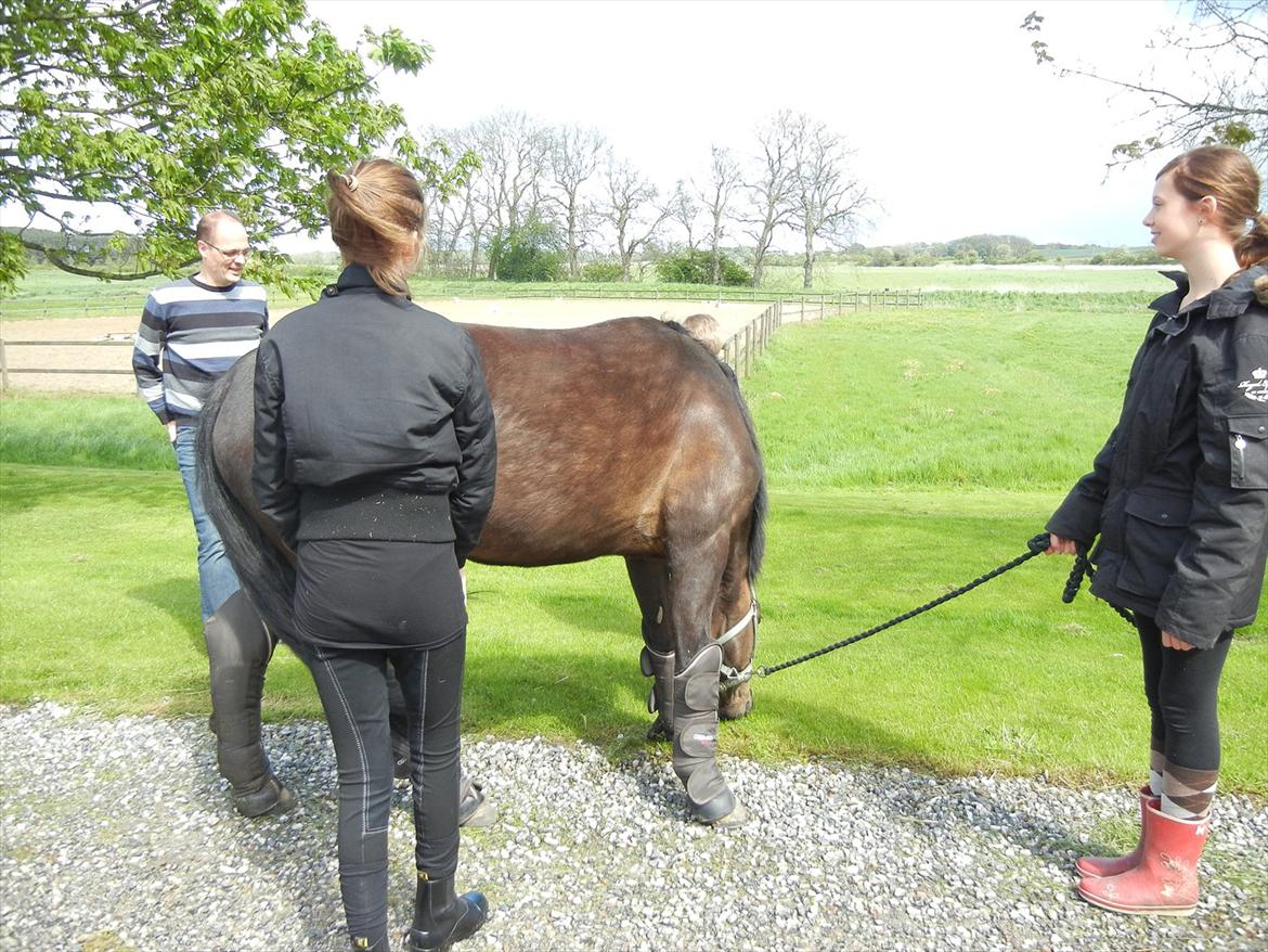 Anden særlig race Cirkeline - Smaske, smaske... billede 5