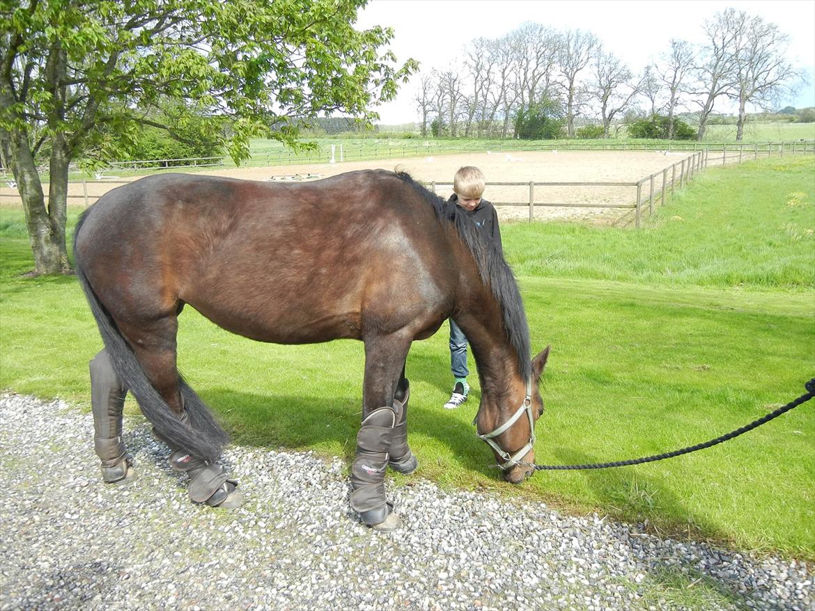 Anden særlig race Cirkeline - <3 billede 6