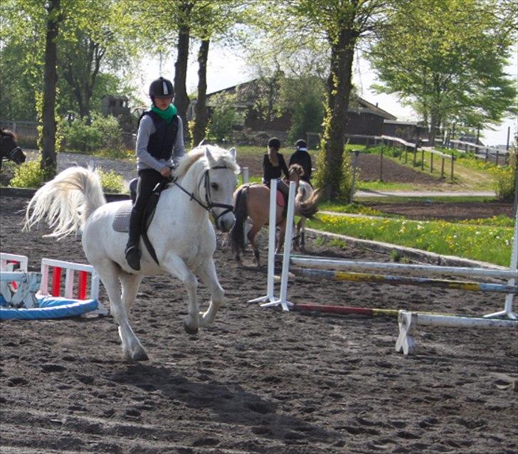 Connemara Hesselholts Marvin <3 - Lille hoppe pony! :-) <3
foto: Emma <3
Redigering: Mig ;-) billede 18