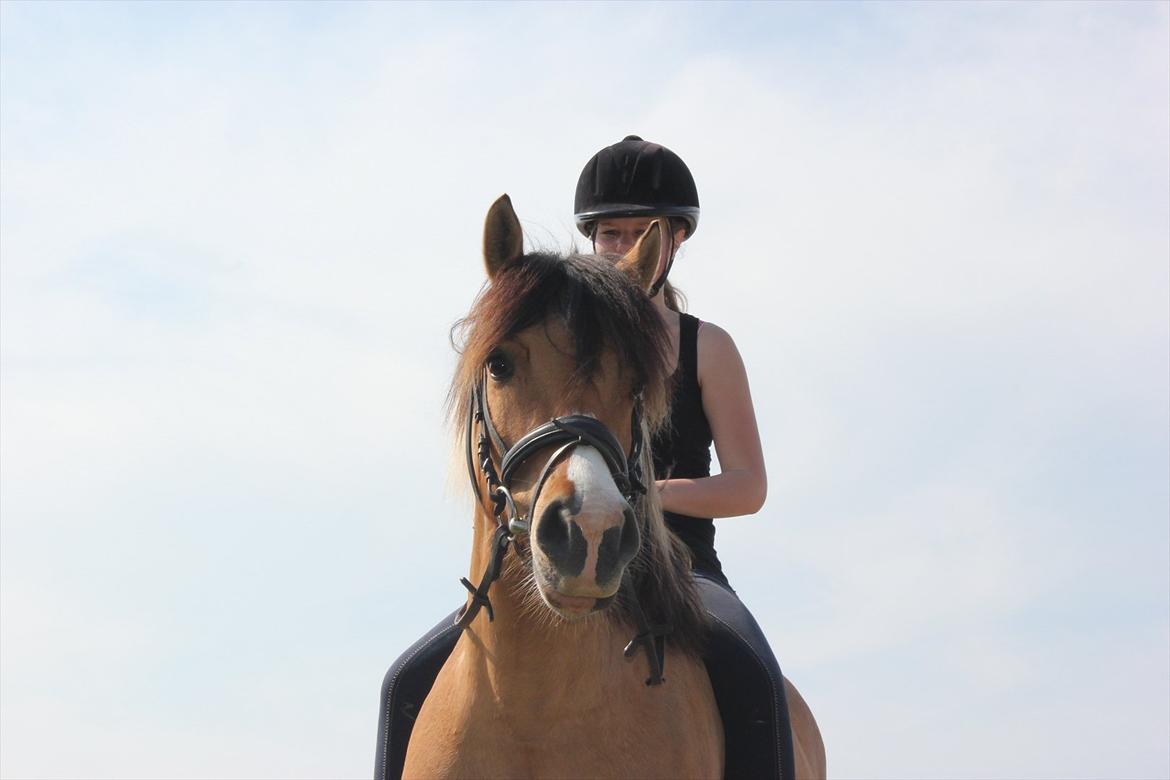 Anden særlig race Charming - Charming og hans part Camilla :)  billede 3