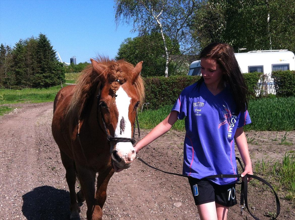 Islænder Pistill fra kirkjubæ | My soul mate<3 |  - Friendship ♥. billede 6