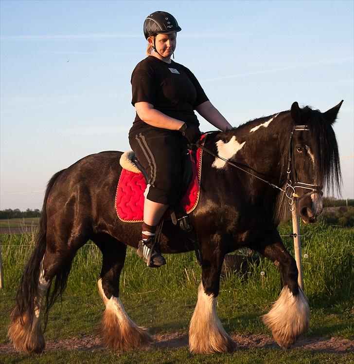 Irish Cob Pam ~ Prinsessen ~ - Muskler er der ikk mange af på nogen af os, men det KOMMER...!! Thihi... billede 14
