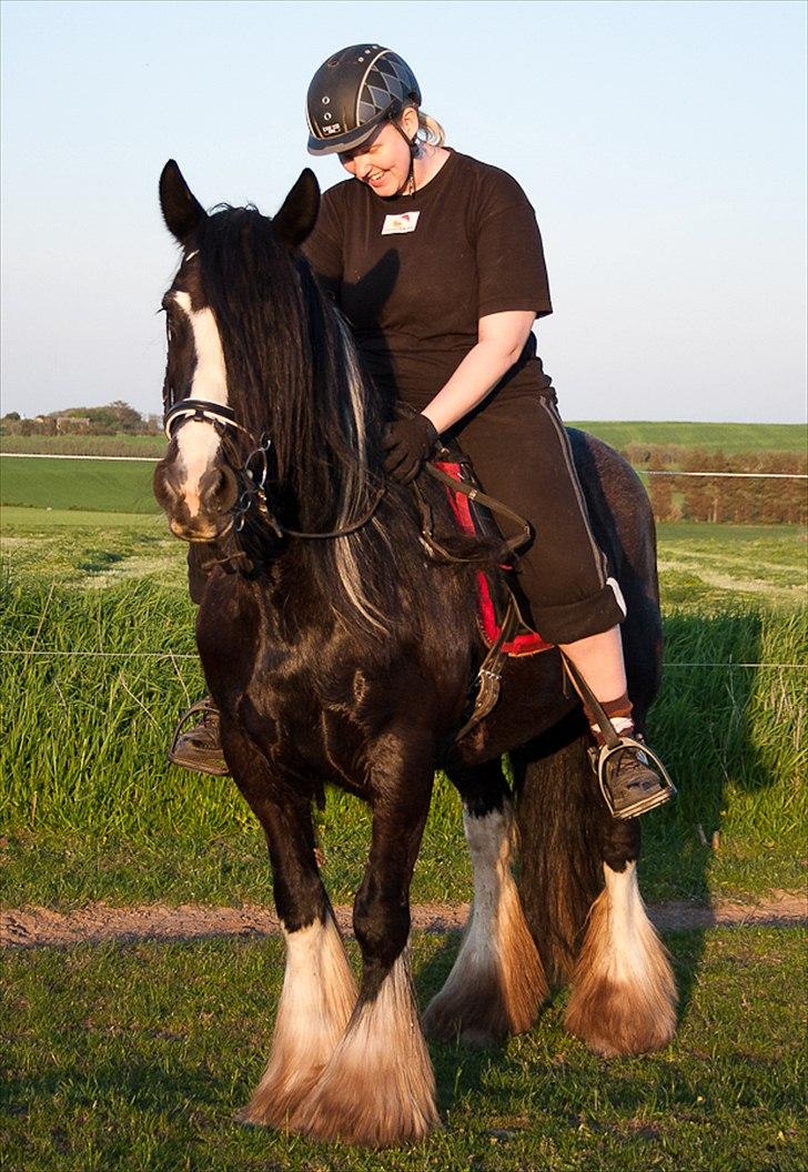 Irish Cob Pam ~ Prinsessen ~ - Ved ikk hvorfor jeg griner her, hehe.. xD billede 8