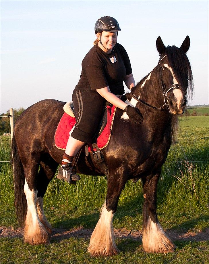 Irish Cob Pam ~ Prinsessen ~ - Øb og bøv..!! Hvem ser dummest ud..?! Øh Mig.. xD billede 16