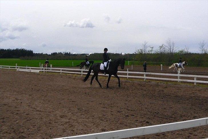 Dansk Varmblod Ranova - Nova og jeg til vores første stævne billede 13