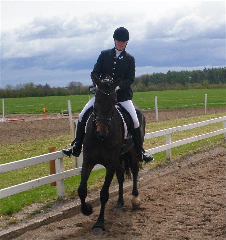 Dansk Varmblod Ranova - Nova og jeg til vores første stævne billede 14