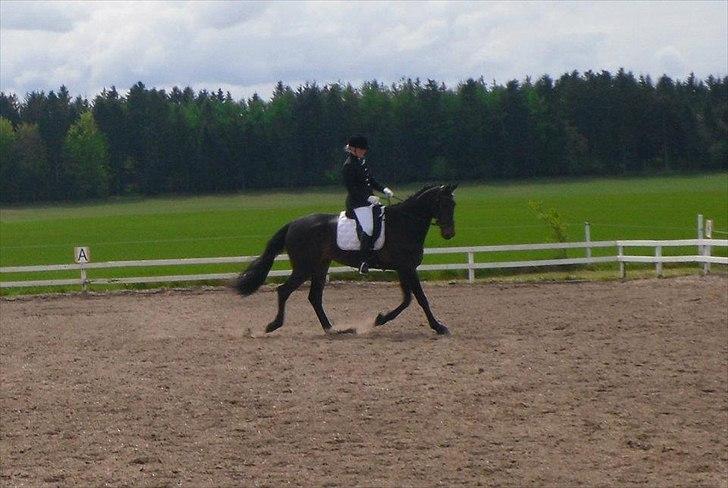 Dansk Varmblod Ranova - Nova og jeg til vores første stævne. billede 15