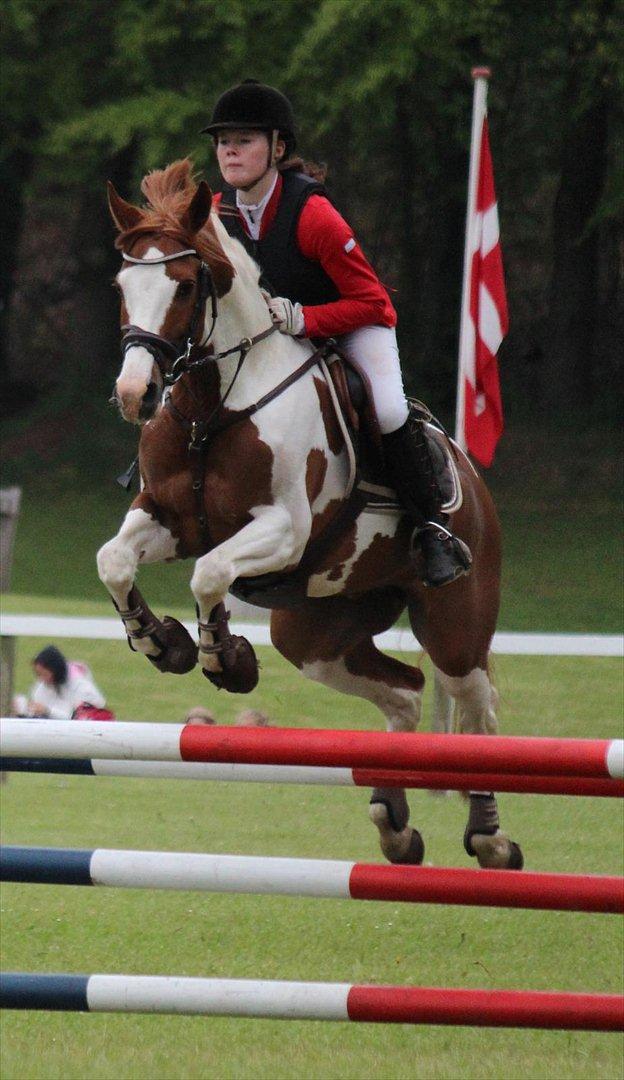 Anden særlig race ». Chicago. - Morsø stævnet 2012. D. 17 til 20 maj 2012. billede 10