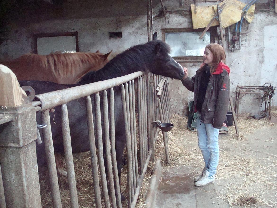 Anden særlig race Necupina (Pina) - På besøg hos Pina da hun blev 2 år. Tror hun genkendte mig;) Foto: Mor billede 14