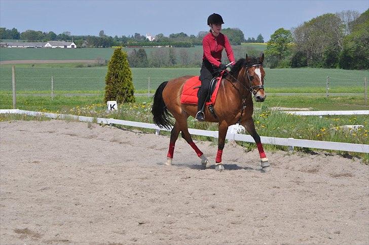 Anden særlig race Mirou ~ Min smukke dreng <3 - Nyeste fremskridt maj 2012 billede 7