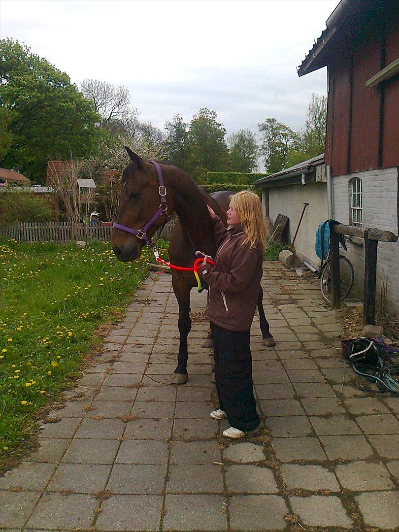 Traver David Cam billede 2