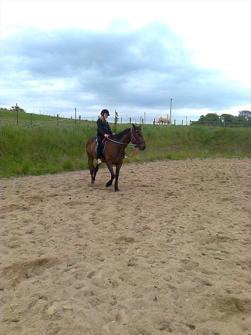 Traver David Cam billede 3