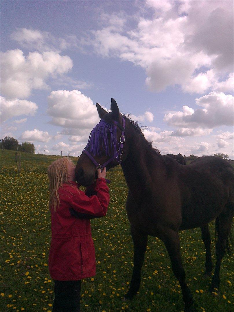 Traver David Cam billede 5