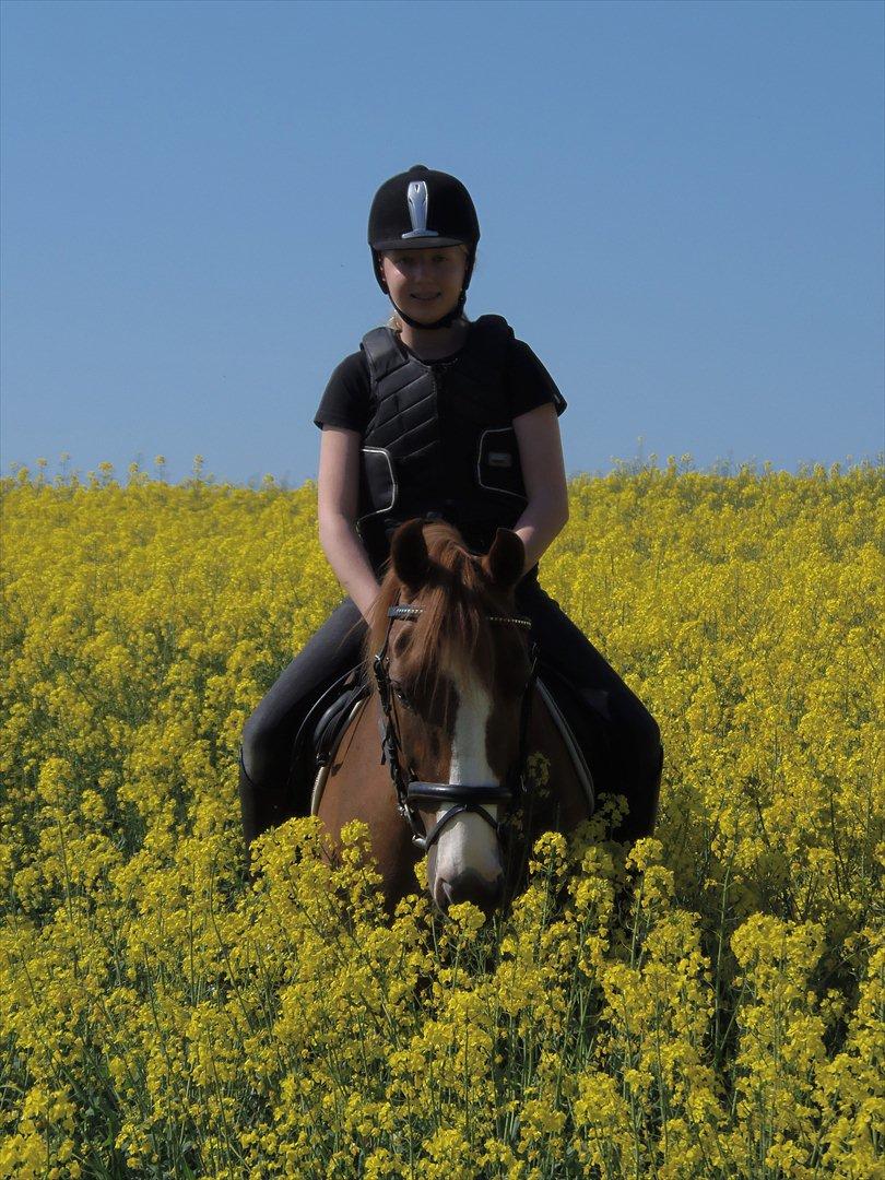 Anden særlig race Mon Cheri<3 - Jeg vil ALTID elske dig Basse-Mand!:D du betyder ALT for mig!!!!:D<3<3<3 billede 8