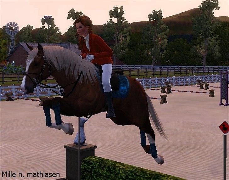 Hollandsk Sportspony /welsh Scooby doo *savnet* - lille mand som springer  billede 19