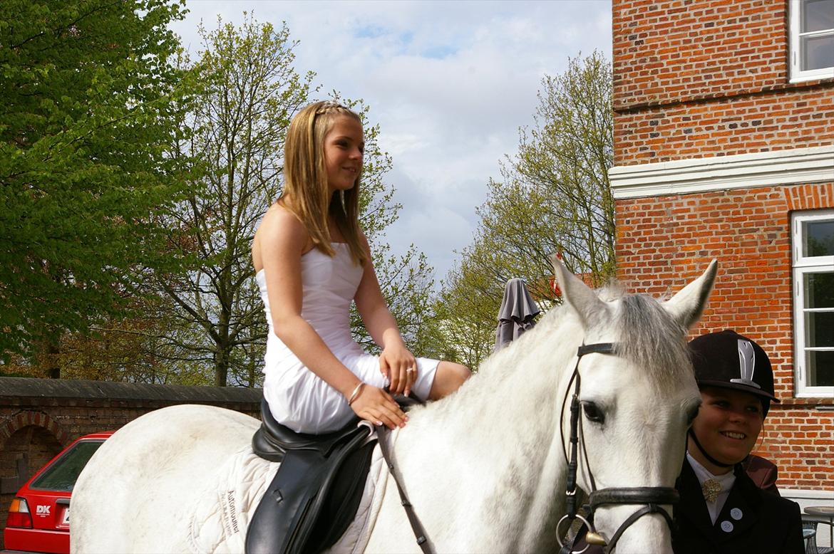 Hollandsk Sportspony V.P. Hestia - Hestia nede ved kirken til min konfirmation billede 4