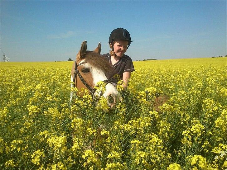 Anden særlig race Hedegaardens Savannah - velkommen til Savannahs profil 
 billede 1