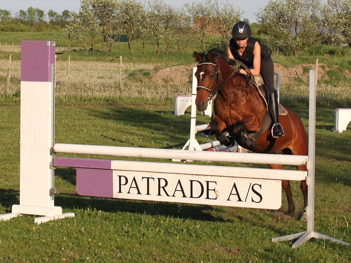 Anden særlig race Bianca - Træning 24/5-12 billede 4