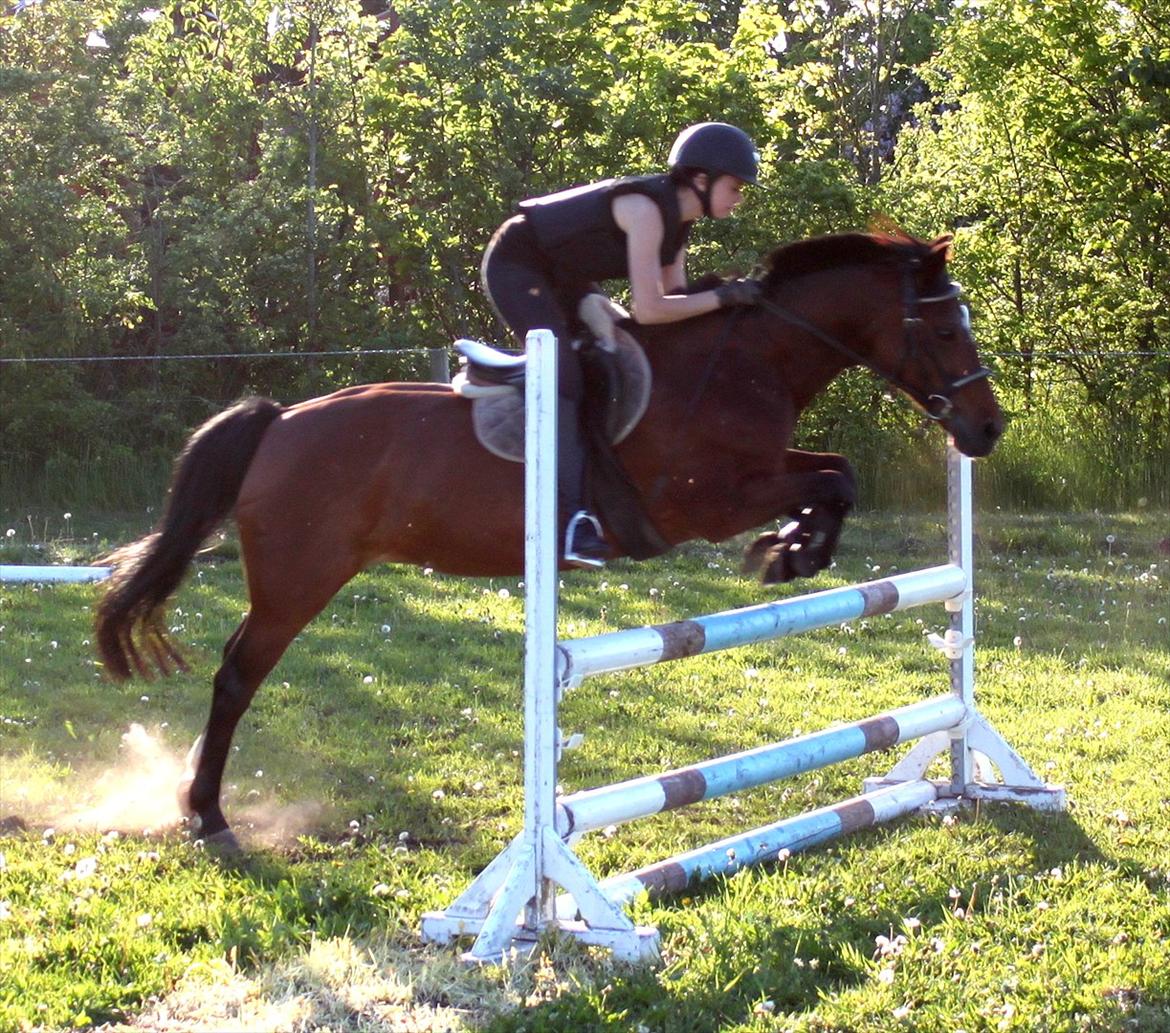 Anden særlig race Bianca - Træning 24/5-12 billede 12