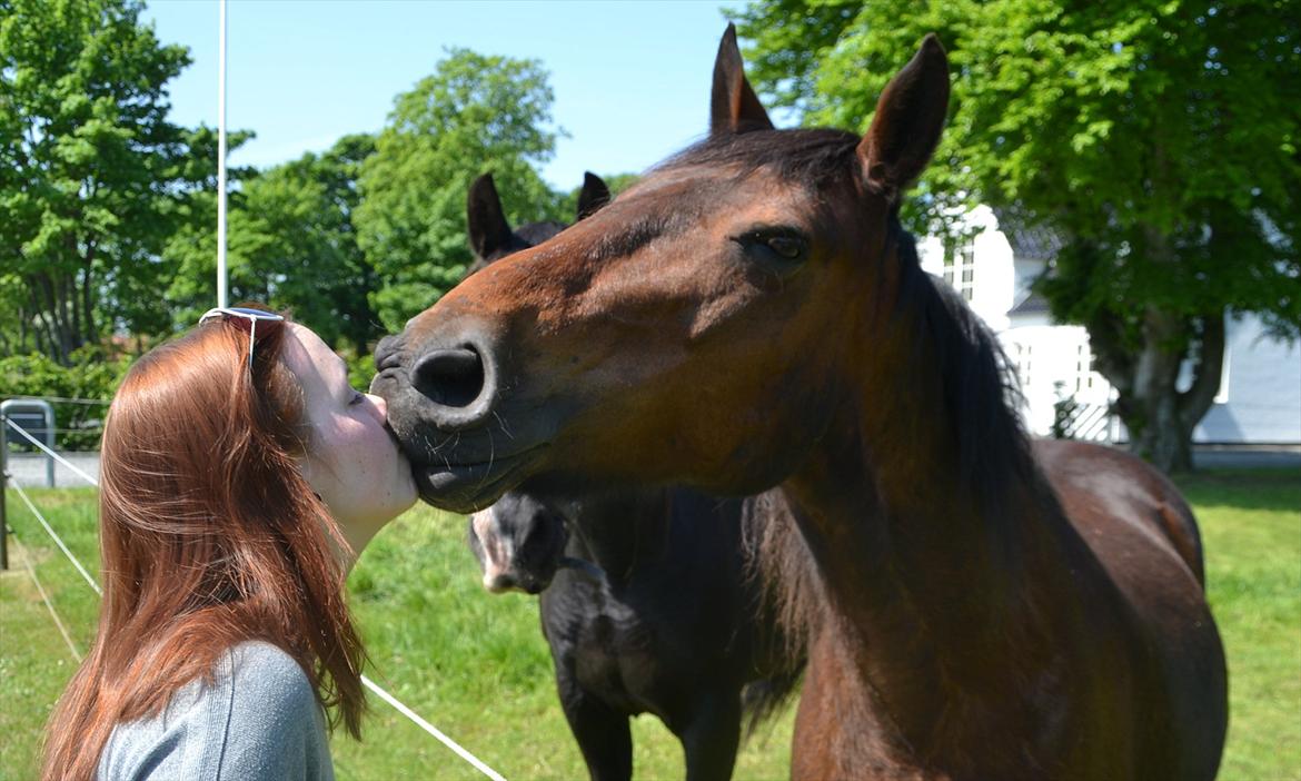 Anden særlig race Montana - solgt - 25/5-2012 - efter snart 4 år så jeg Monty igen! billede 2