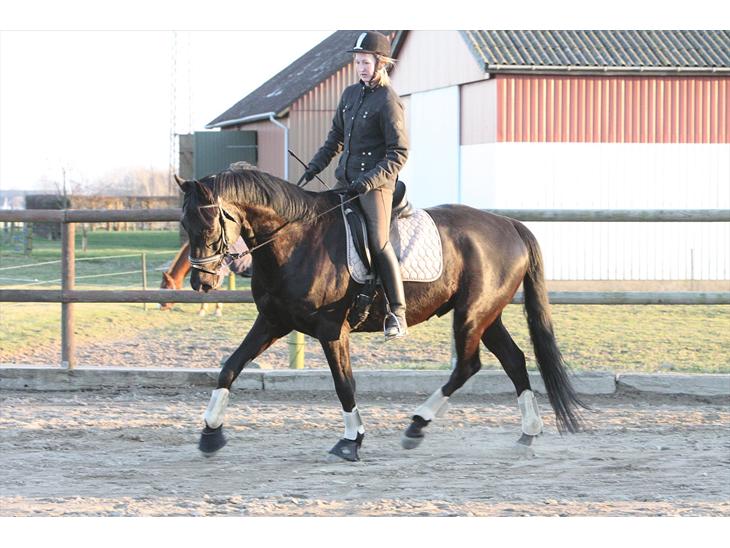 {{currentPhoto.altText}} billede {{currentPhoto.number}}