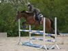DSP Bæklunds Arquette B-PONY (solgt)