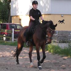 Anden særlig race Commando